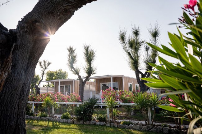 Esterno di bungalow tra piante e fiori.