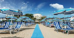 Sdraio e ombrelloni su una spiaggia soleggiata.