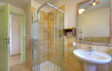 Bagno con box doccia, lavabo bianco e pareti con piastrelle gialle.
