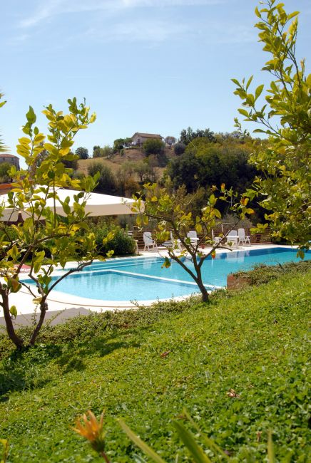 Piscina circondata da vegetazione e alberi, sedie a sdraio e un cielo sereno.
