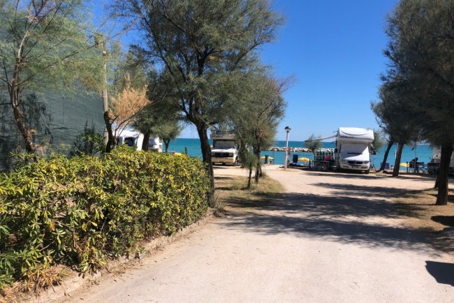 Strada alberata verso il mare con camper.