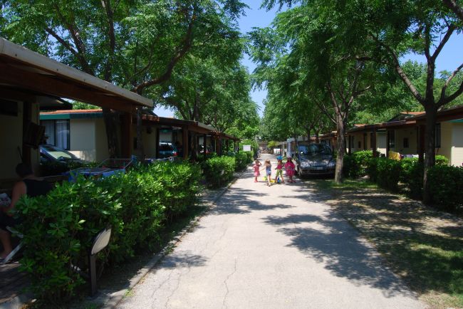 Vialetto alberato con bungalow su entrambi i lati. Vari bambini giocano al centro del vialetto.